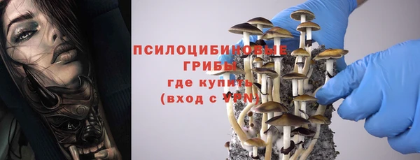 сатива Абдулино