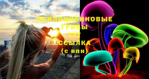 2c-b Алексин