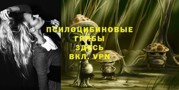 индика Армянск