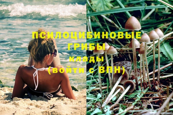 индика Армянск