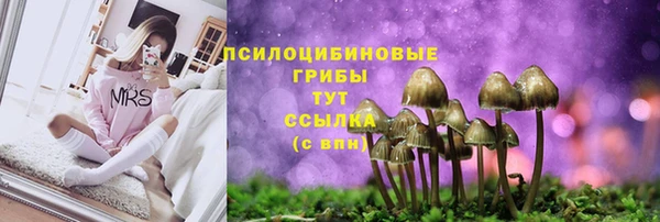 дмт Аркадак